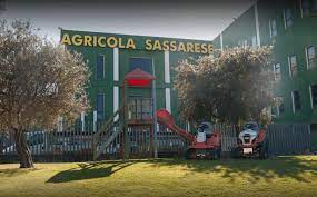 <b>19 - PUNTO VENDITA GHIACCIO SASSARI<br>AGRICOLA SASSARESE</b>
